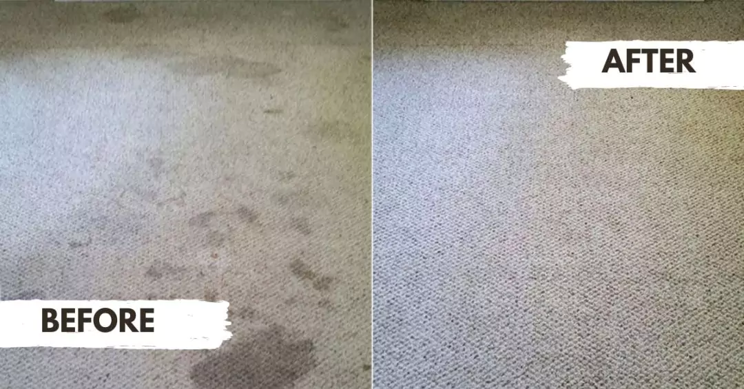 Carpet-Cleaning-Before-After